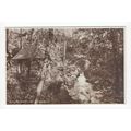In Pittencrieff Glen Dunfermline Postcard Fife ...