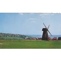 The Mill Rottingdean Sussex Postcard (SX76597)