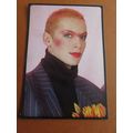 Smash Hits 1984 Panini Sticker No 21 Annie Lennox