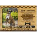 Boxer Uncropped Engraved Wood Picture Frame Magnet