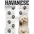I Love My Havanese Fridge Magnet