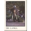 Sri Lanka Postcard - Elephant And Lunch