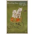 Dogs Advertising Fresh Farm Dairy Milk Cart Tra...