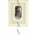 Woman Of Bokhara (Bukhara), Uzbekistan, Book Il...