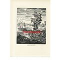Battle Of Malplaquet, 1709, Book Illustration (...