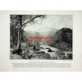 Bettws-Y-Coed, Moel Siabod And Swallow Falls, W...