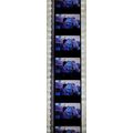Back to the Future 2. Pk HCH - A023w . - 1 STRI...