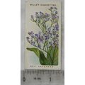 1913 Wills Old English Garden Flowers 2nd serie...