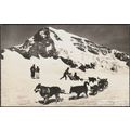 Polarhunde und der Mönch, Jungfraujoch, c.1940s...
