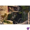 GB Postcard - Water Wheel, Cockington, South Devon