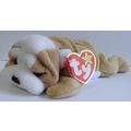 TY BEANIE BABIES ' WRINKLES ' ( 1996 )
