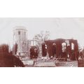 Ruins Basingstoke Hampshire Postcard (HAM76848)