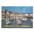 the harbour, PAIGNTON, DEVON, unused vintage po...