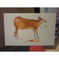 CAVE PAINTING, CUEVAS de ALTAMIRA, SANTANDER SP...