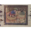 Treading Grapes Belgium Farming Flemish Medieva...