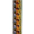 DAVID BOWIE. Pk MTP - a035i. 1 STRIP OF 5 - 35M...