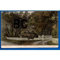 Postcard Shave's Lodge Ashley / Somerley Ringwo...