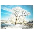 Hungerton cum Wyville, Lincolnshire - winter sc...