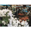 Nice Marche Fleurs France Postcard 1982 used VGC