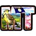 Montana the Treasure State Artwood Initial Frid...