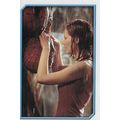 Merlin's Spider-Man (2002) Sticker Collection -...