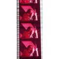 ALICE COOPER. Pk MTP - a014N . 1 STRIP OF 5 - 3...
