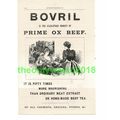 Bovril, Prime Ox Beef, Advert, Book Illustratio...