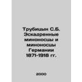 Trubitsyn S. B. Destroyers and destroyers of Ge...