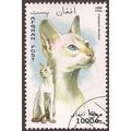 AFGHANISTAN, Cat, white 1996, 1000 Afg