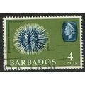 Barbados 1966 Marine Life 4c Deep Blue and Olive Green wmk Sideways SG345 GU