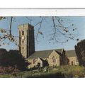 St Swithun Church Woodbury Cornwall Postcard un...