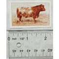 Jacobs Picture cards from History 16, Oxo, Brit...