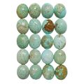 53557 - 20 Very Rare Natural Australian Turquoi...