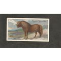 Cigarette Card Players Nature Series 1909 #38 S...