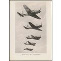 British Navy Roc Dive-Bombers, c.1960 - RP Post...