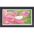 Brook Bond INCREDIBLE CREATURES ON THE LAND PRA...
