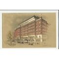 LONDON May Fair Hotel Art Postcard