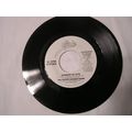 The Gregg Allman Promo 45-EVIDENCE OF LOVE STEREO