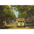 A Melbourne Tram Postcard (B1355)