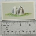 1979 Grandee Top Dogs Card No. 22 The Shih Tzu
