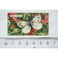 1938 Gallaher's Butterflies & Moths No. 13 Wood...