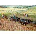 Medieval Ploughing Farming Diorama Ploughing Pa...
