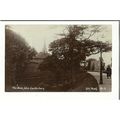Kent CANTERBURY Dane John Postcard by W.E.Mack (5)