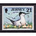 1997-99 Jersey, Sea Birds, Sandwich Tern, NH Mi...
