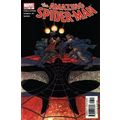 Amazing Spider-Man (Vol 2) # 507 NM MODERN AGE ...