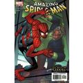 Amazing Spider-Man (Vol 2) # 506 NM MODERN AGE ...