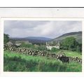 Galloway Hill Farm Ireland Postcard unused VGC