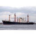 SQ0598 - Dutch Cargo Ship - Lelykerk , built 19...
