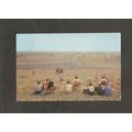Postcard Kent New Romney Maddiesons Littlestone...