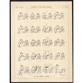 DO YOU MIND A CIGAR? 1934 Henry Mayo Bateman PU...